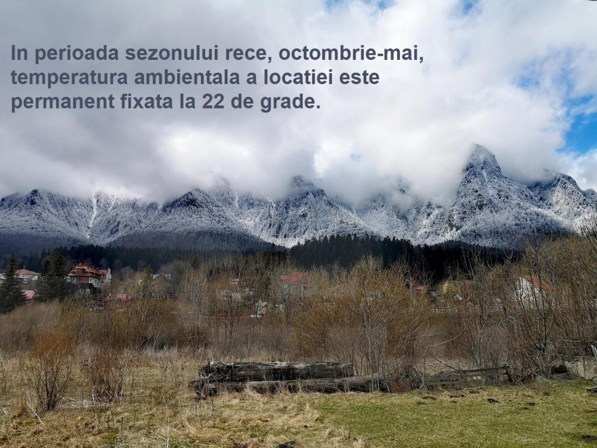 Alteo * Busteni
